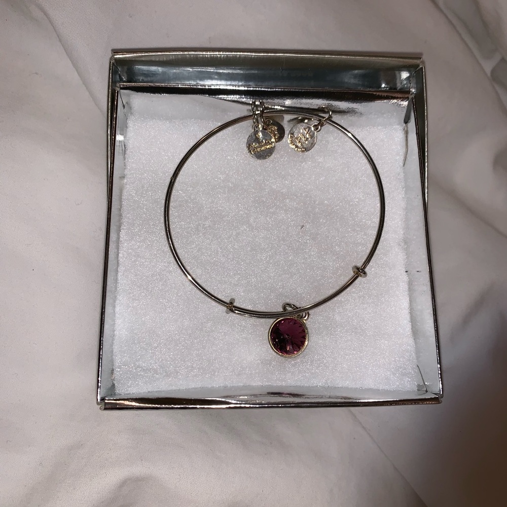 Alex and Ani birthstone amethyst bracelet